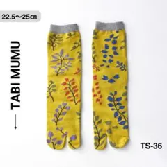 Item thumbnail for item c2832f26-8058-4787-8cec-dc80181c4dca