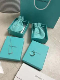 ティファニー インフィニティ リング ネックレス