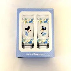 東京ディズニーリゾート ミッキー ミニー グラス 2個セット 外箱あり