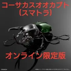 トロリン様 リクエスト 2点 まとめ商品