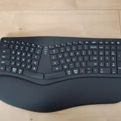 【美品】エルゴノミクス キーボード　EW-NKB101　ブラック