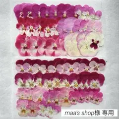 押しフルーツ♡maa's shop❖3点ご購入特典有❖様専用♡