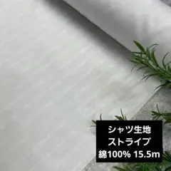 Item thumbnail for item 4796dcc0-f0c8-46c7-bf91-49ca3291b706