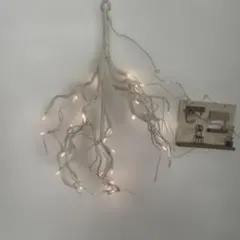 Item thumbnail for item a86dfb56-7945-40a4-9a3d-c5f64f4fe0df