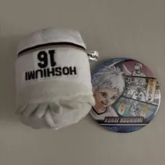 ハイキュー のるキャラコレクション 缶バッジ メモリーズ 星海光来セット