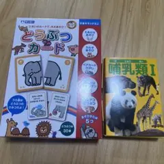 Item thumbnail for item 3a805d43-d8d0-4c0e-857d-41dcfbd1b0b3