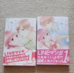 Item thumbnail for item 0a41c721-51ba-42de-bb95-340aef6ee180