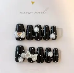 ネイルチップ ウィッシュコアネイル ドットネイル ブラックネイル バラネイル