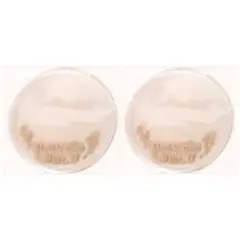 新品★アイナナ★Re:vale★アニメイト★特典★缶バッジカバー★2点セット