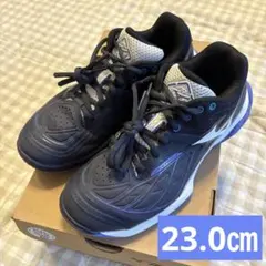 Mizuno ミズノ ウエーブファング2 バドミントンシューズ 23センチ