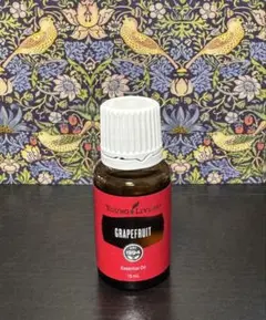 2025年最新】ヤングエッセンシャルオイルの人気アイテム - メルカリ