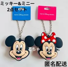 ディズニー　バッグチャーム　チャーム　シリコン　小銭入れ　ミッキー　ミニー