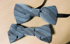 Item thumbnail for item 167dfa47-1198-44ce-82de-11364c7aefa7