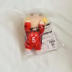 ハイキュー 一番くじ ちょこのっころん ぬいぐるみ 孤爪研磨