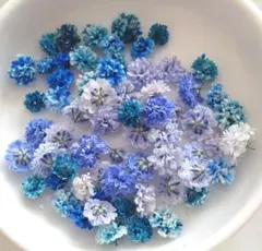 ドライフラワー