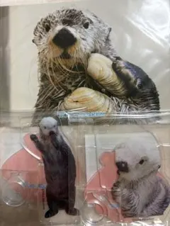 カプくじ 鳥羽水族館 ラッコのメイちゃんくじ リターンズ！