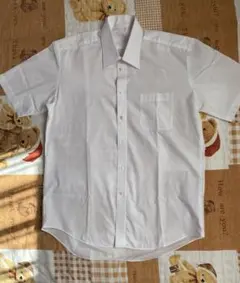 Item thumbnail for item 04b3a68f-4715-43b4-b611-debe58e78812