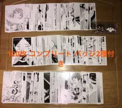 ハイキュー‼︎クロニクル　思い出スナップフォトカード　120枚　全種ピンバッジ付き