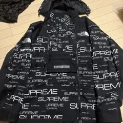Supreme × THE NORTH FACE マウンテンパーカー L