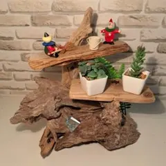 2025年最新】流木 台の人気アイテム - メルカリ