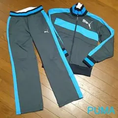 【PUMA】ジャージ上下（ウェアL、パンツM）
