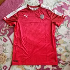 サッカー　オーストリア代表