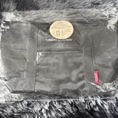 Item thumbnail for item c1c99791-6375-4d56-9cac-847b605f1db3