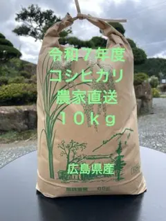 広島県産コシヒカリ白米14、5キロ令和7年 - メルカリ
