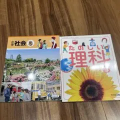 Item thumbnail for item 2ae5c8f3-5f9e-473b-8b0a-dc32072fc0ac