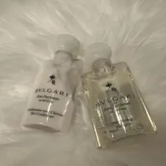 Item thumbnail for item 934422e7-3648-4f5e-9300-9bd2dcb4baf9