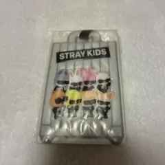 stray kids スキズ RUN IT アプグレ 特典 ラゲッジタグ グッズ