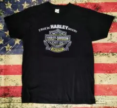 SCREEN STARS 米国製 『HARLEY-DAVIDSON』ビンテージT