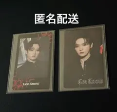 straykids スキズ リノ dominate アプグレ フォトカード