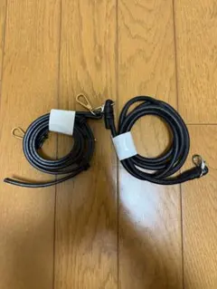 Item thumbnail for item 315bbaad-b7fe-4d7f-ae52-e6f3e79d948f