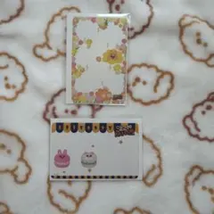 SKZOO POPUP