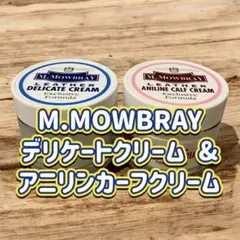 Item thumbnail for item 5c50c147-f5c8-41f1-961a-37c5862c6dd5