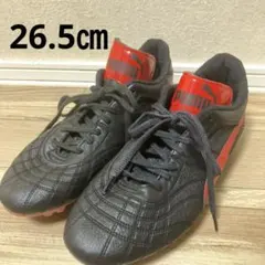 2026年最新】パラメヒコgciの人気アイテム - メルカリ