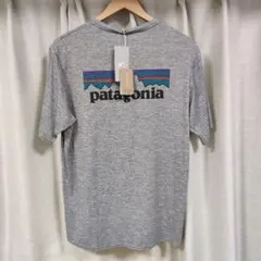 パタゴニア キャプリーンクールデイリー M PLFE グレー 45235
