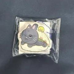 RIIZE らいずし ポップアップ クッションキーホルダー ウォンビン