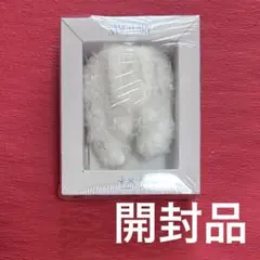 TXT sanctuary march 開封品