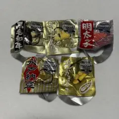 PEPSI×スヌーピー全国おいしいものアクセサリー