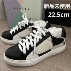 Item thumbnail for item 36c1a90b-0cfc-4d4a-bbce-8cde5c48244c