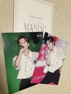 straykids スキズ スンミン ライブフォトトレカ maniac