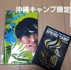 2026年最新】阪神 キャンプの人気アイテム - メルカリ