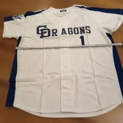 Item thumbnail for item 7cac2b86-f68e-4a12-97fe-e8a6dcac46f5