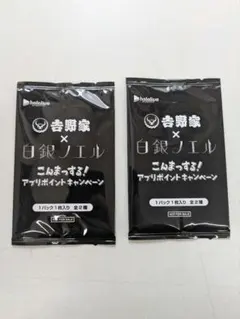 吉野家 × 白銀ノエル コラボカード 2種セット