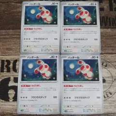 パッチール