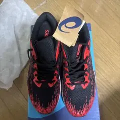 asics ランニングシューズ　ライトレーサー3 27cm 新品未使用 赤/黒