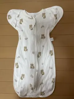 Item thumbnail for item 56983ba8-bbec-49c0-baaf-783c276ded9a