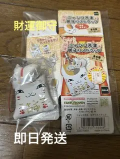 Item thumbnail for item 2d562c34-77c3-4f3b-af9d-a92e9889b6be